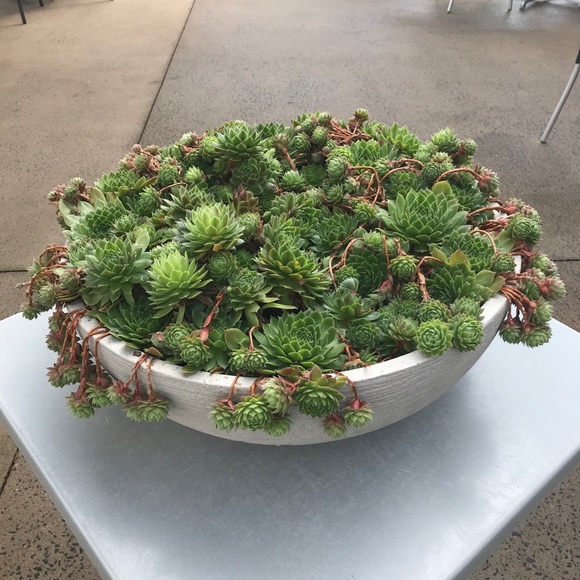 Meet your Posher, Maryse - Picture 1 of 1